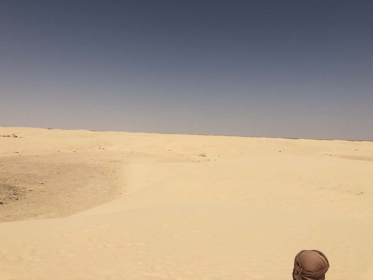 ラクダに乗って見渡せるサハラ砂漠