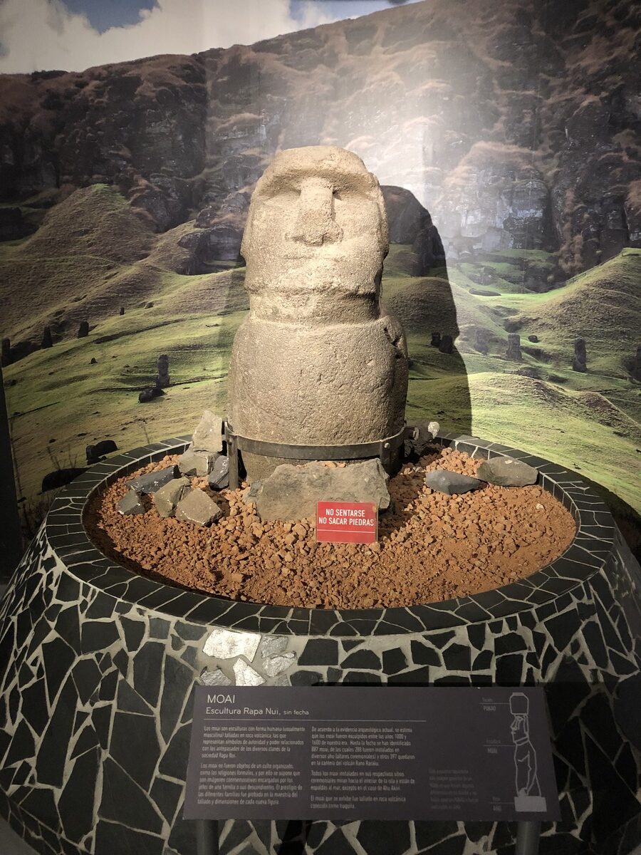 Museo Nacional de Historia Natural (10)