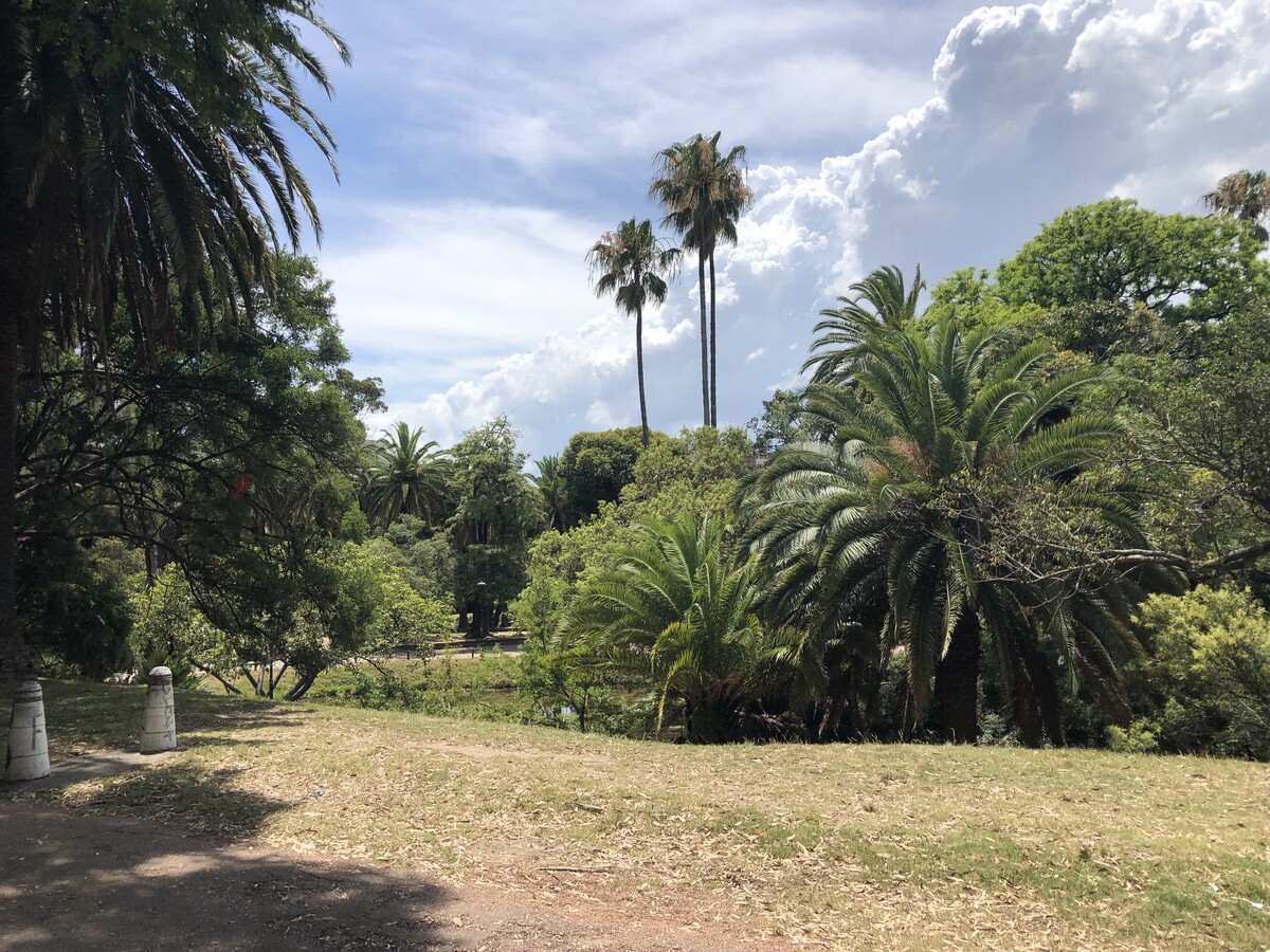 Parque José Enrique Rodó (1)