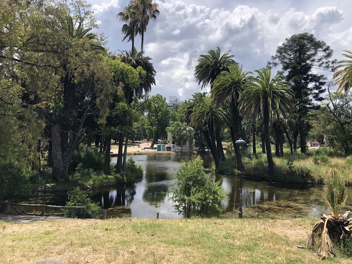 Parque José Enrique Rodó (3)