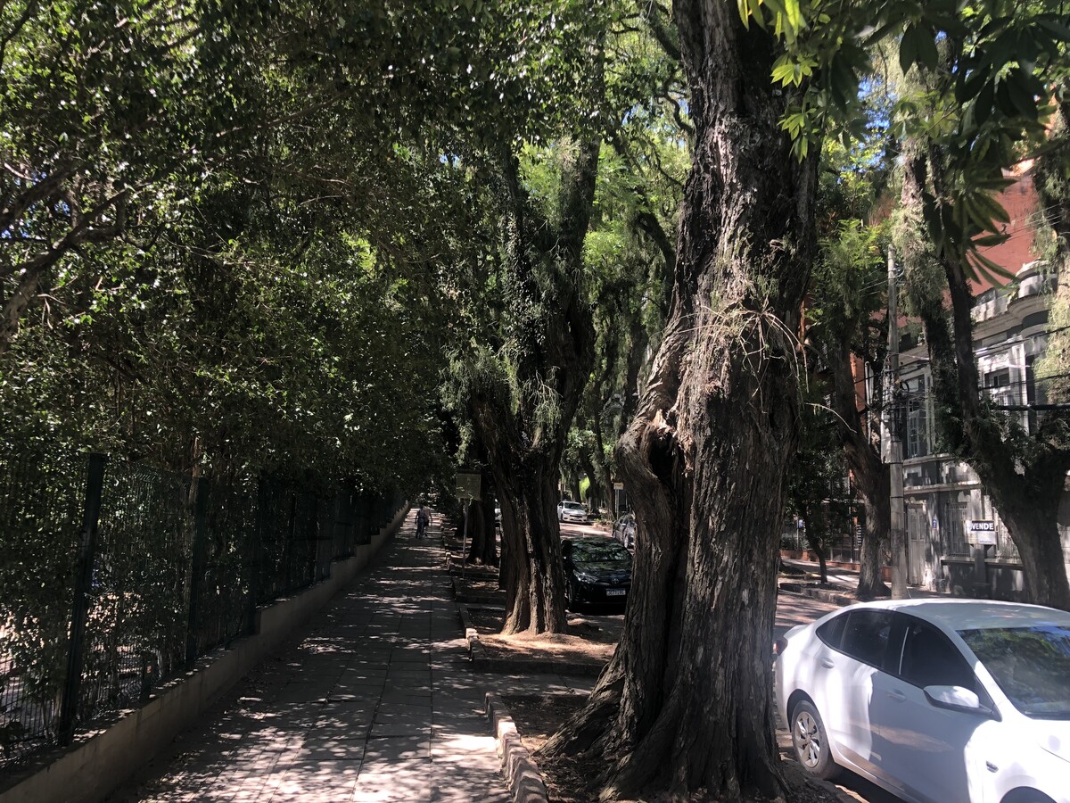 Rua Gonçalo de Carvalho (2)