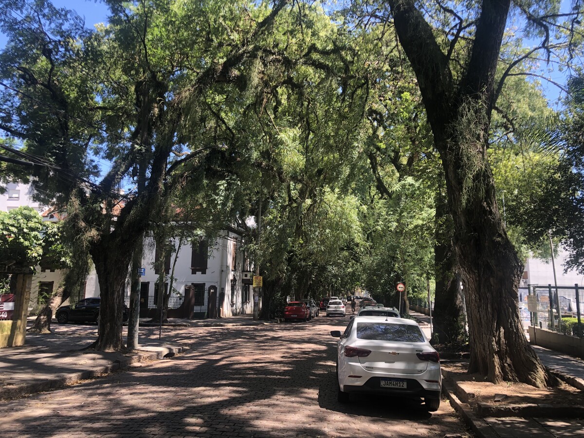 Rua Gonçalo de Carvalho (3)